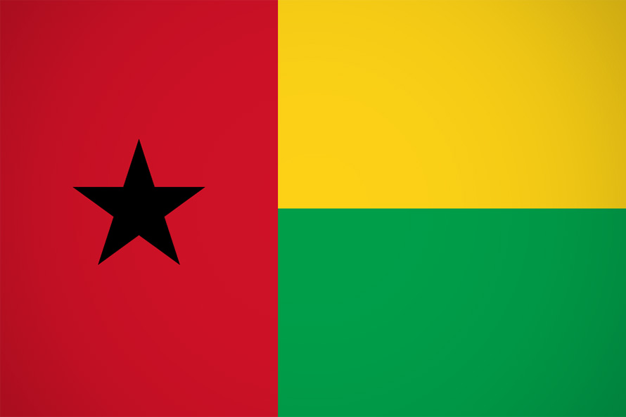 PS manifesta “profunda preocupação” com detenção do Presidente da Assembleia Nacional Popular da Guiné-Bissau