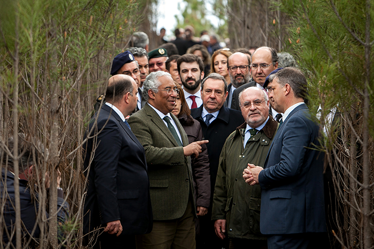 Estruturar a floresta portuguesa para gerar mais riqueza no país