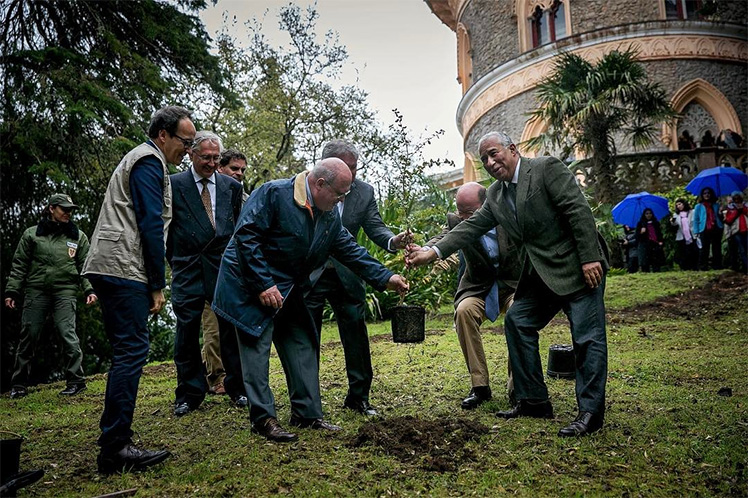 Governo assinala Dia Internacional das Florestas