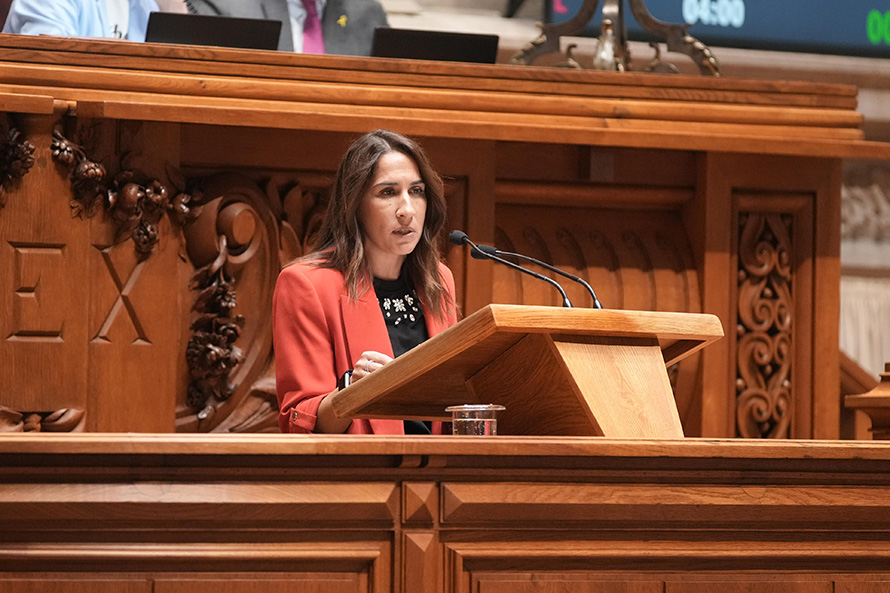 PS quer regime de concessão de crédito bonificado à habitação a pessoas com deficiência