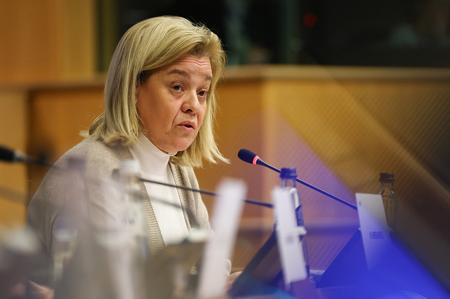 Socialistas no Parlamento Europeu exigem reforço claro de verbas para as Regiões Ultraperiféricas