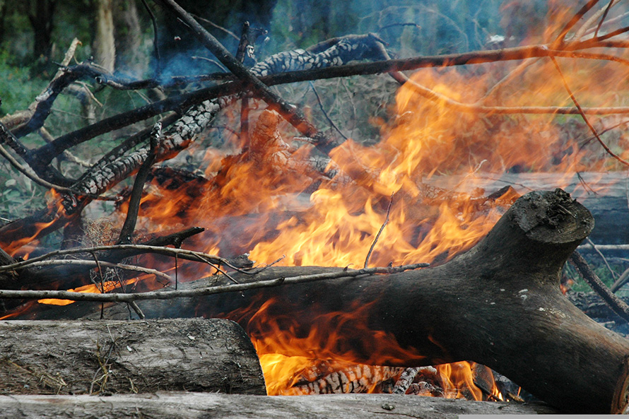 PS questiona MAI sobre criação de task force que duplica estruturas já existentes