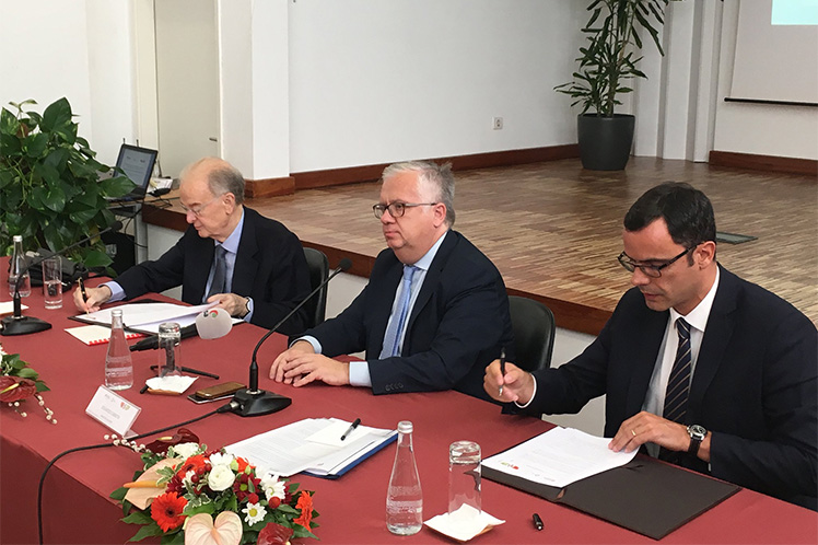 Governo apoia atribuição de bolsas a refugiados sírios