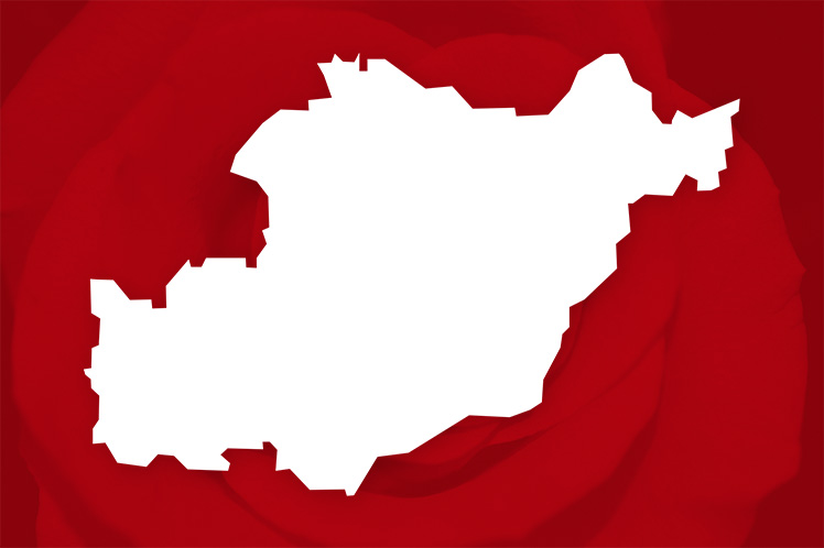 Os candidatos no distrito de Beja