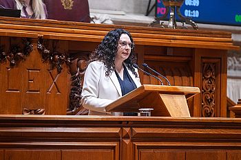 Relação entre Estado e escolas contratualizadas tem de assentar em previsibilidade e transparência